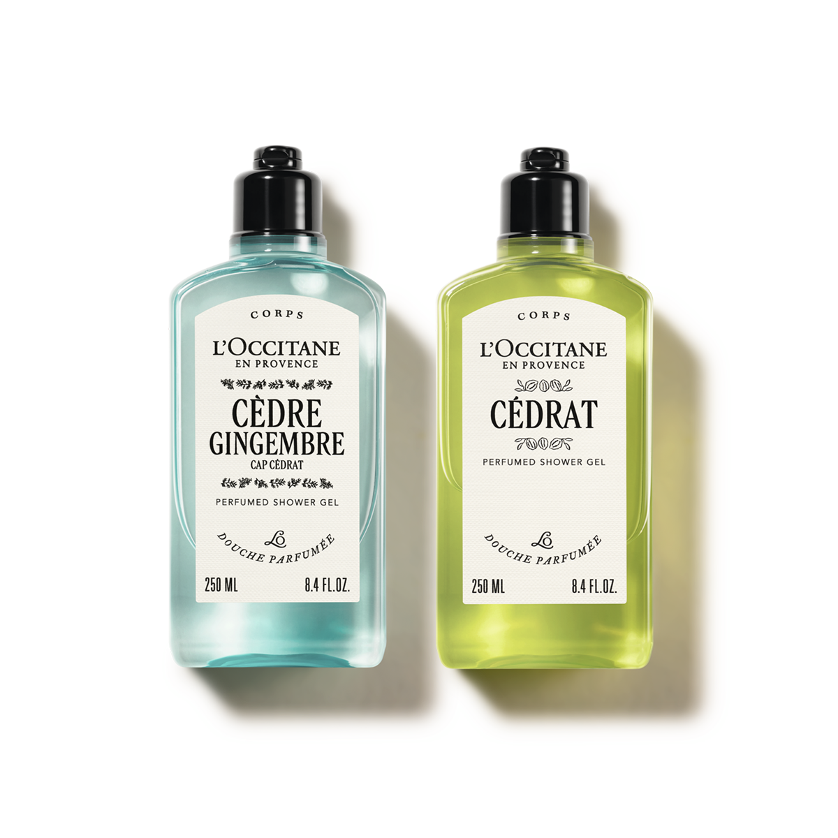 Duet Cédrat