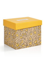 2024 MDAY PWP BOX