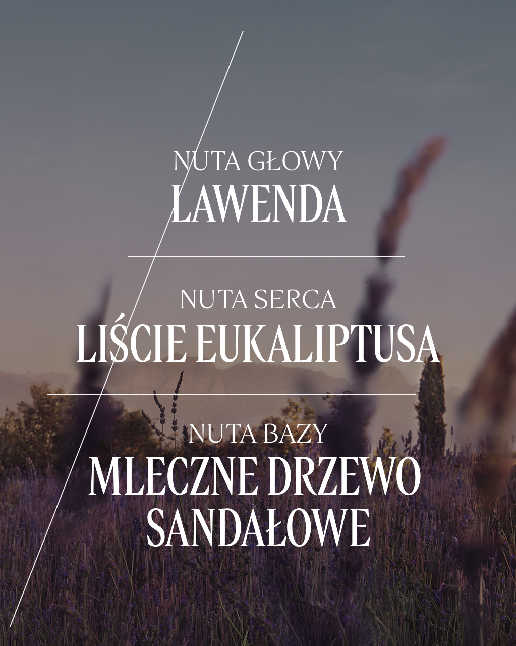 Woda toaletowa Lavande (Lawenda) - Image 5