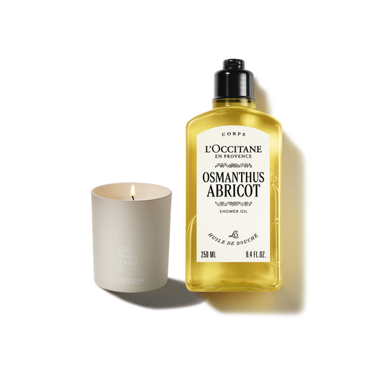 Duet Osmanthus Abricot (Osmantus) ze świecą