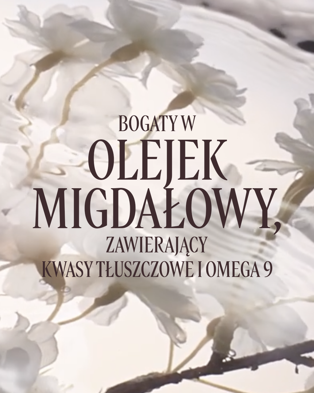 Mleczny koncentrat do ciała Migdał