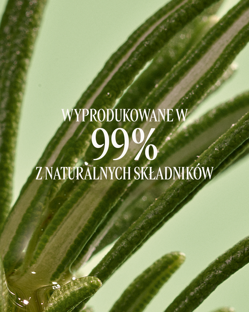 Serum przeciwko wypadaniu włosów Aromakologia