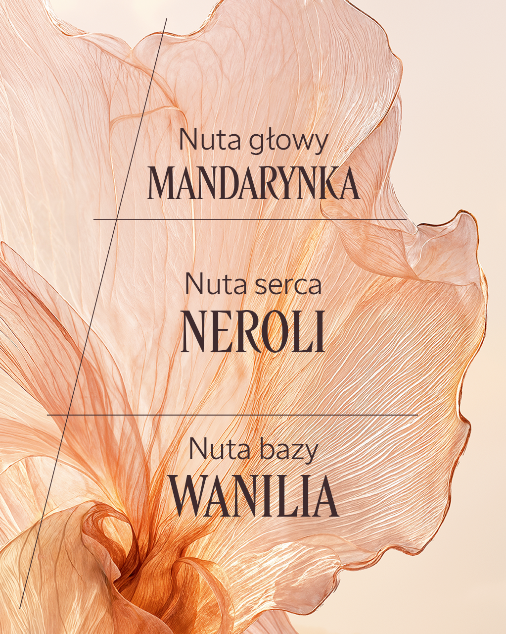 Woda toaletowa Néroli Orchidée