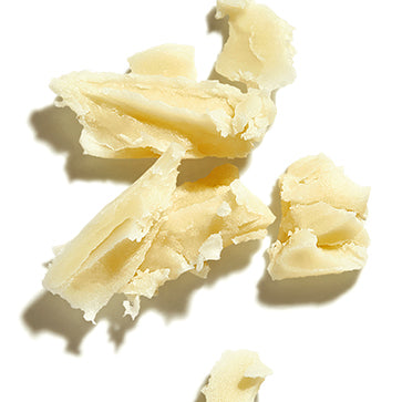 Kompleks wosku słonecznikowego & Estry jojoba