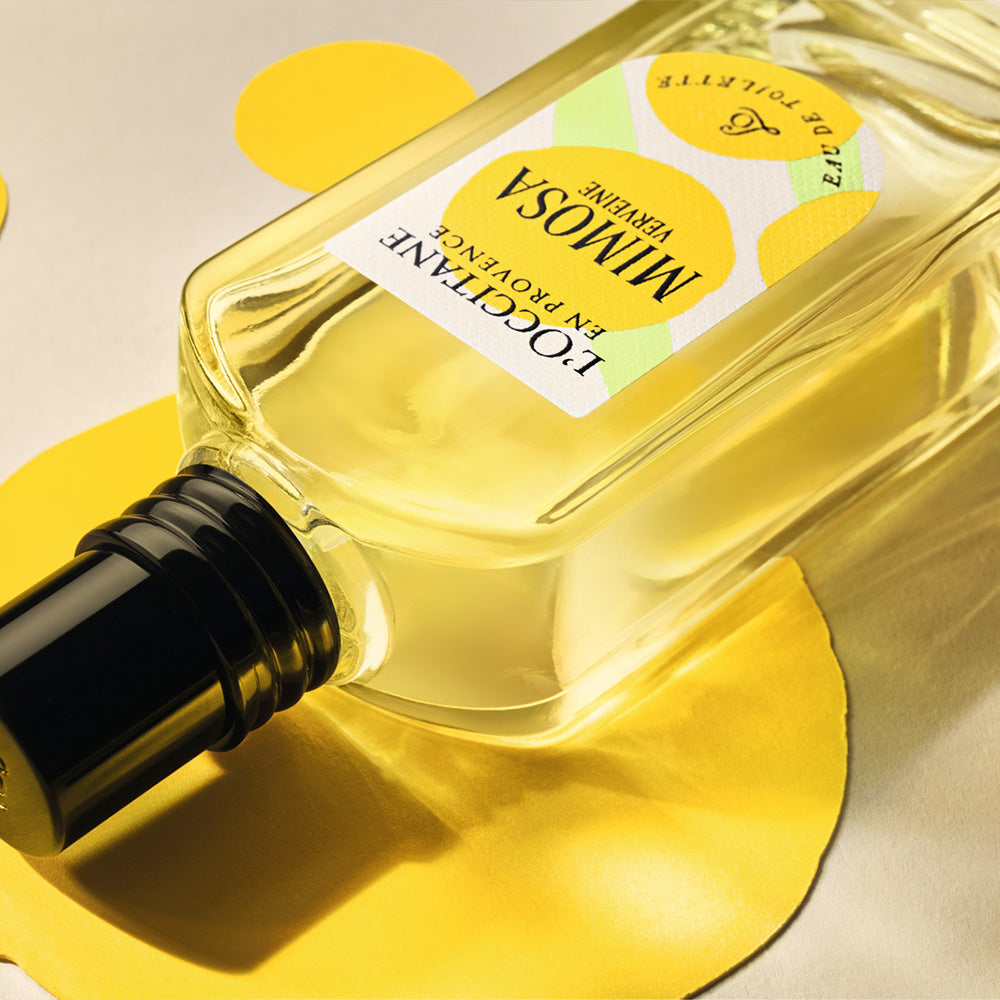 Kolekcja Werbena Mimosa