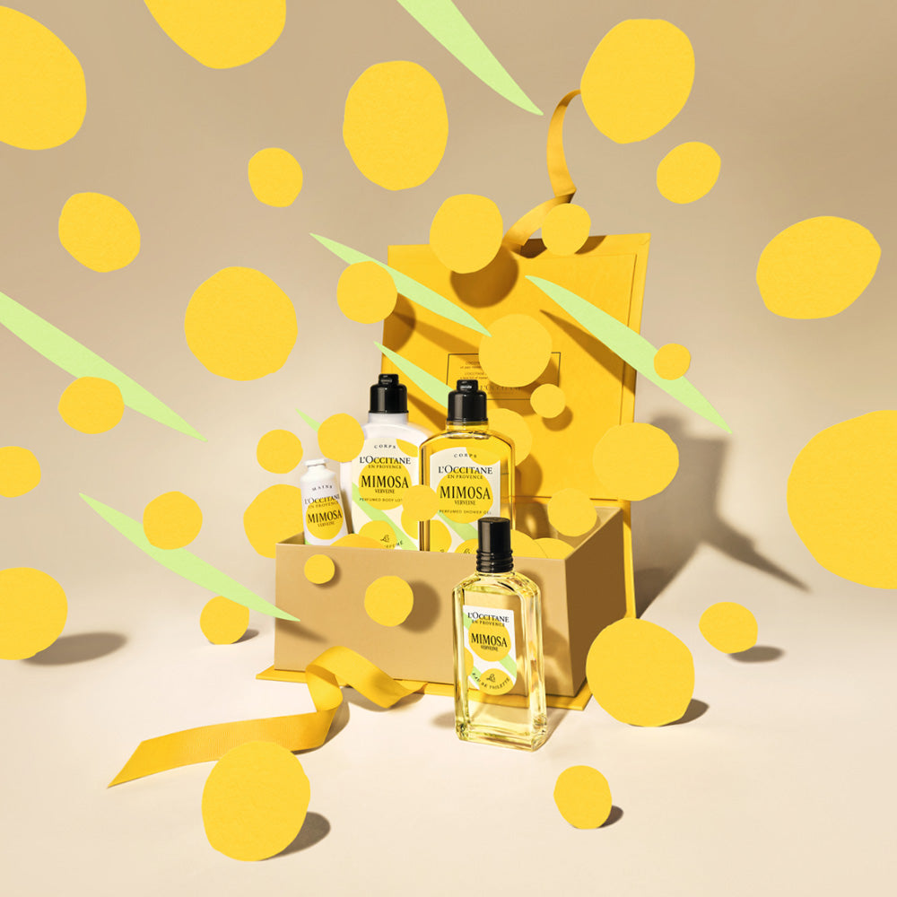 Werbena Mimosa