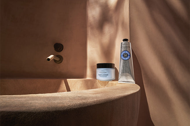 Odkryj jednego z naszych zimowych faworytów